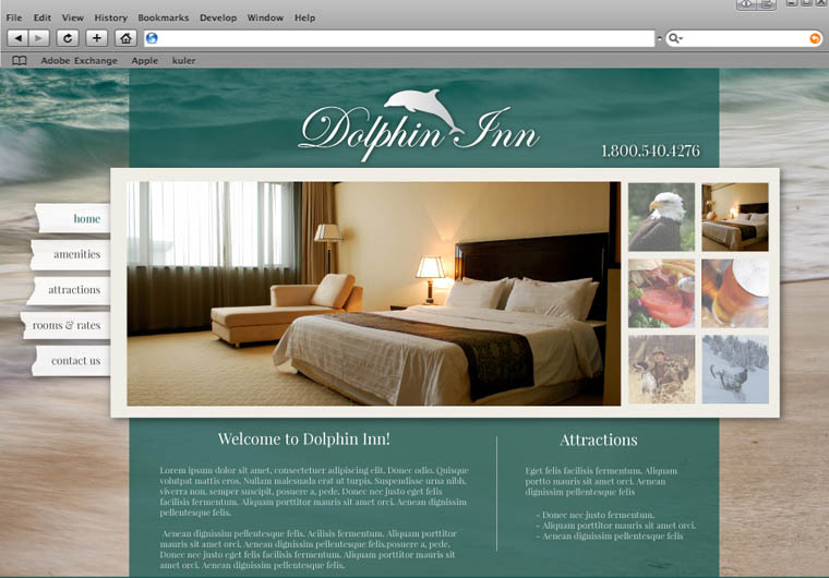 Dolphin Inn Web Design